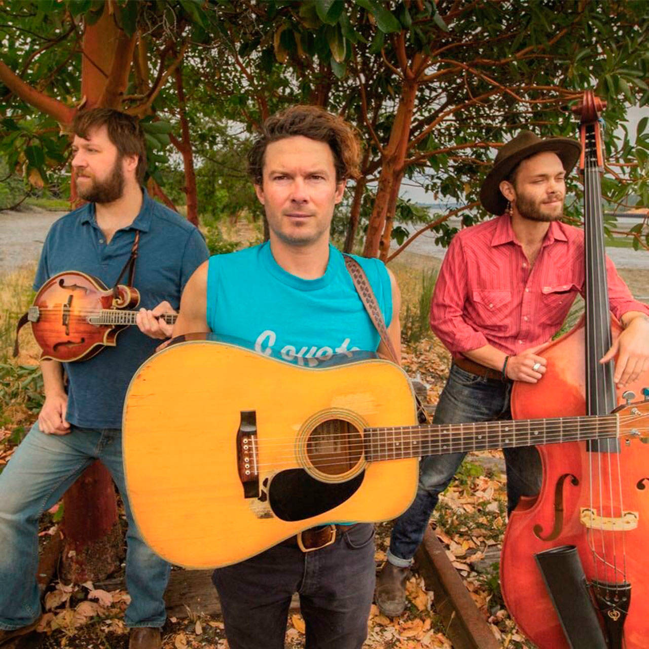 Hear live music by The Pine Hearts at the Sequim Art in the Library event tonight. (North Olympic Library System)