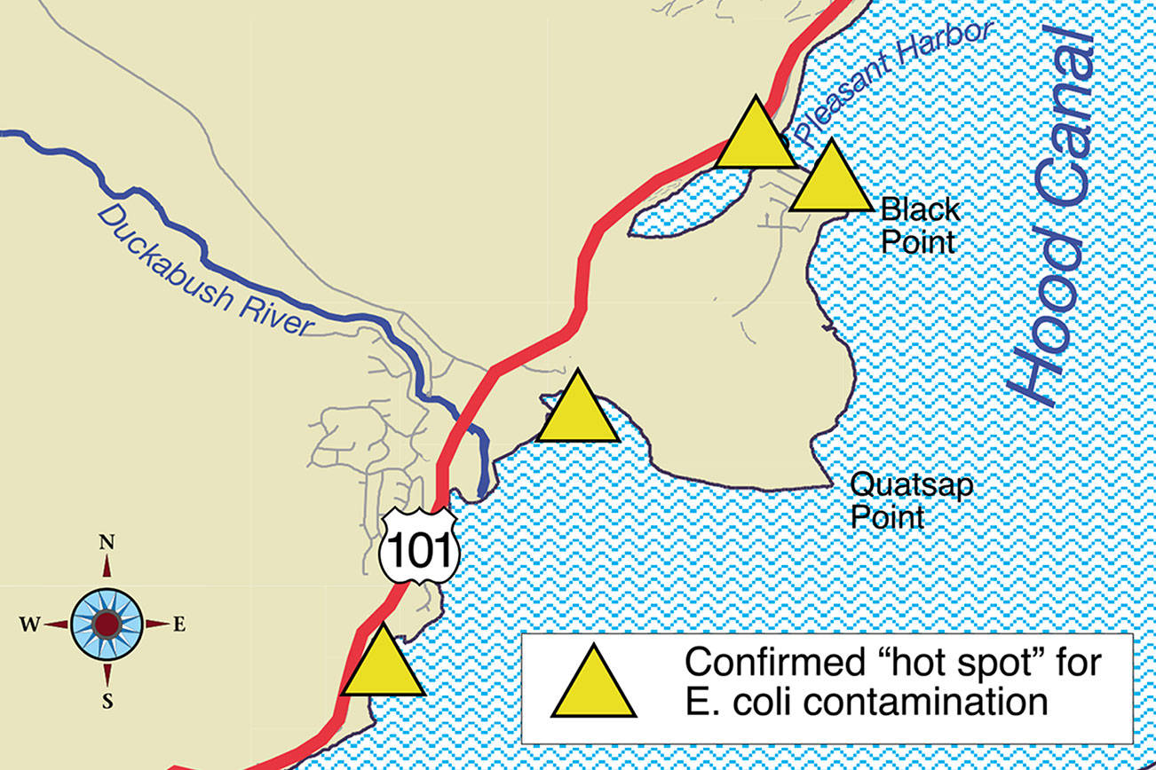 Fecal bacteria shuts down commercial shellfish beds