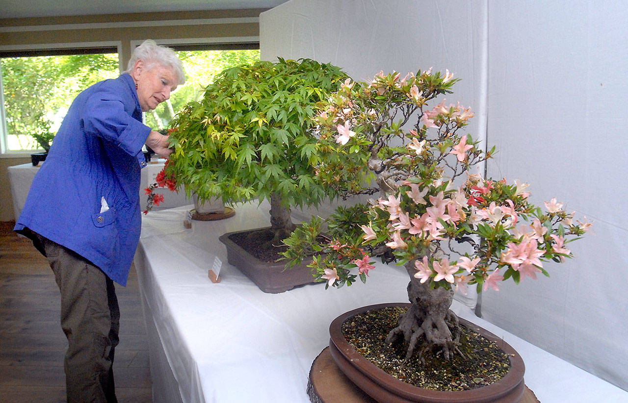 Keith Thorpe/Peninsula Daily News