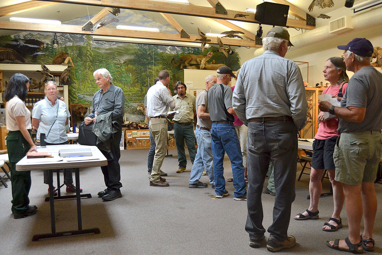 Forest Service issues road plan for Sequim area