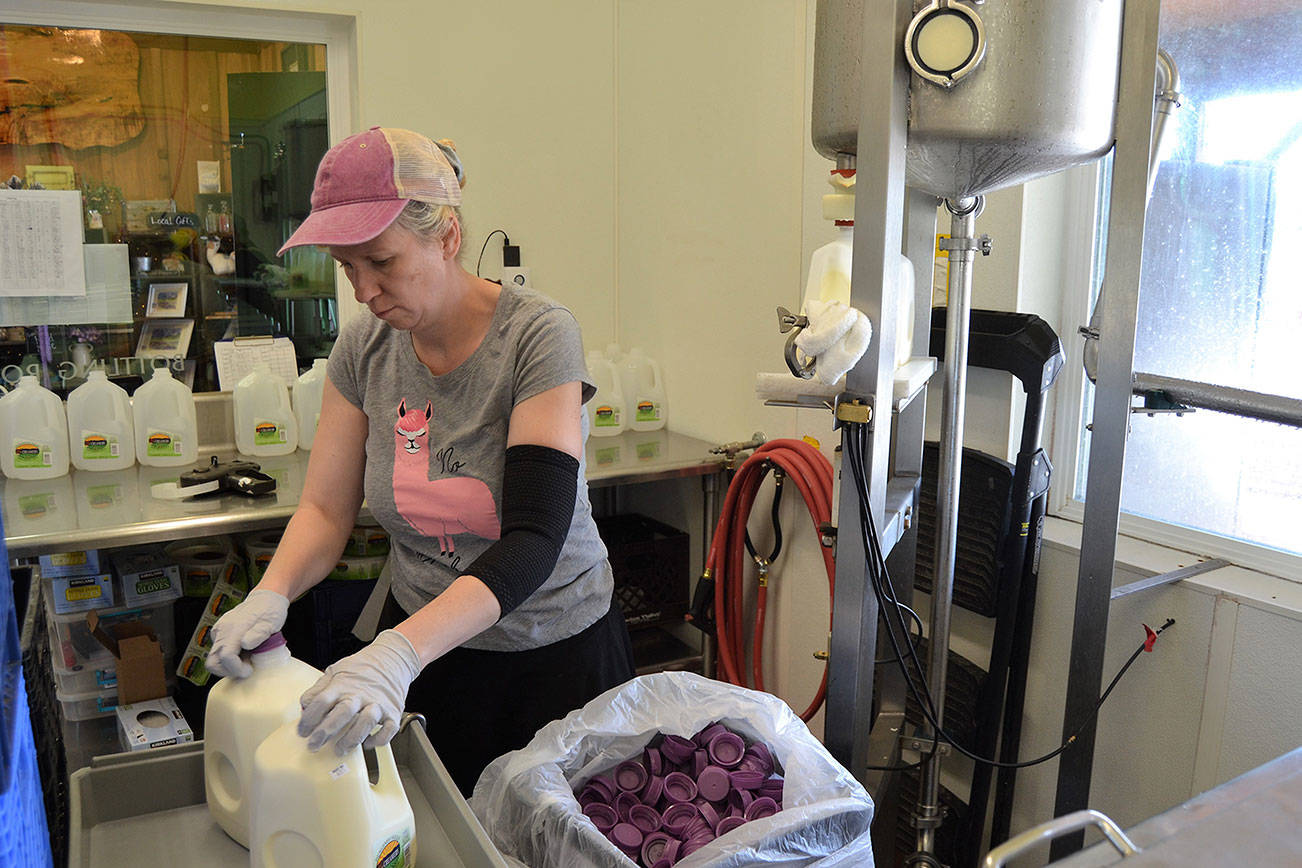 Dungeness Creamery cleared after E. coli found in third sample of raw milk