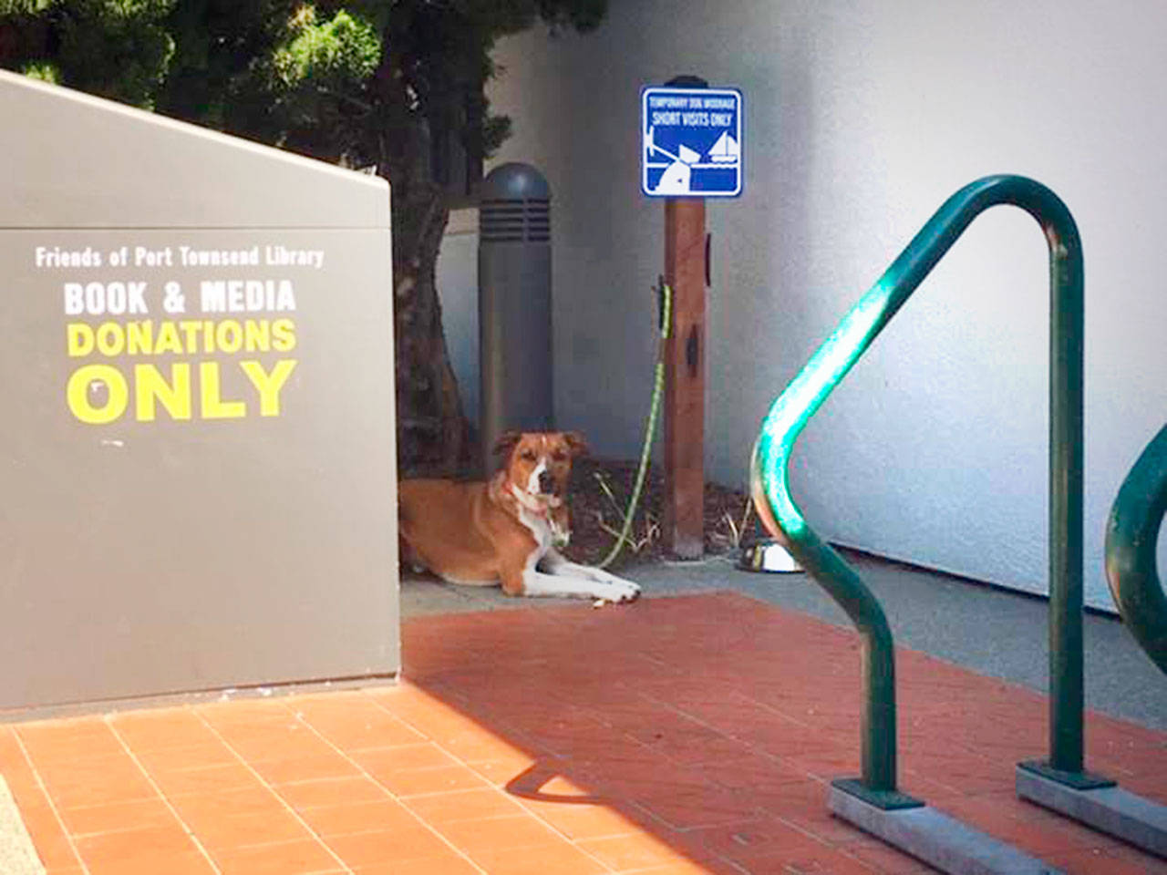 PHOTO: Port Townsend Public Library has new temporary dog moorage station