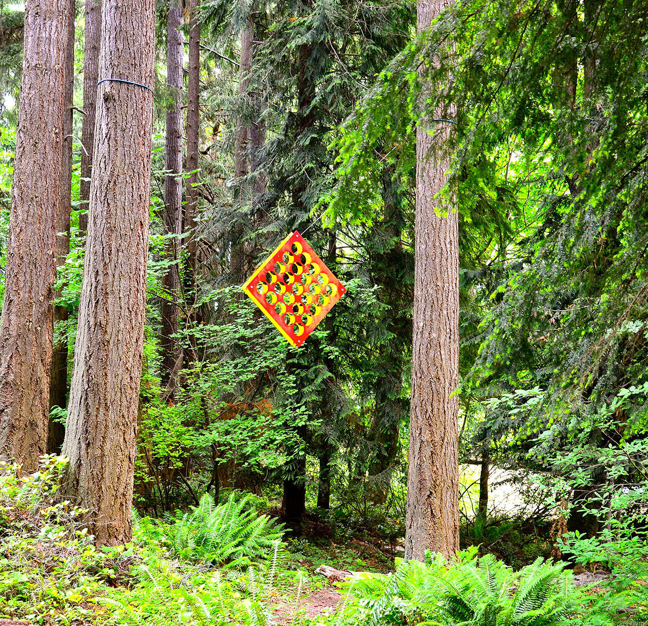 Gray Lucier’s sculpture catches the light in Webster’s Woods. (Diane Urbani de la Paz/for Peninsula Daily News)