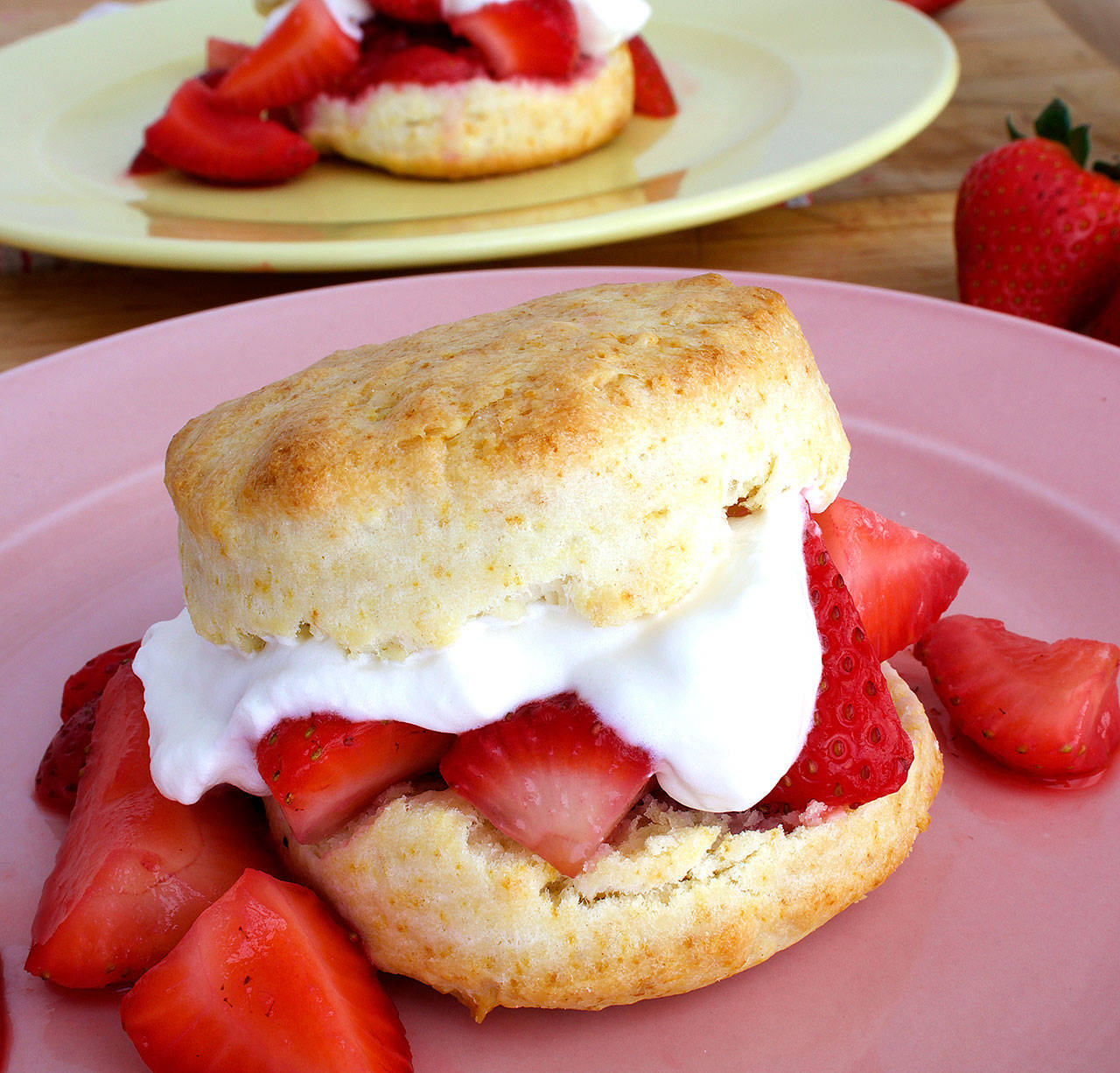 (Photo courtesy Calista Washburn)