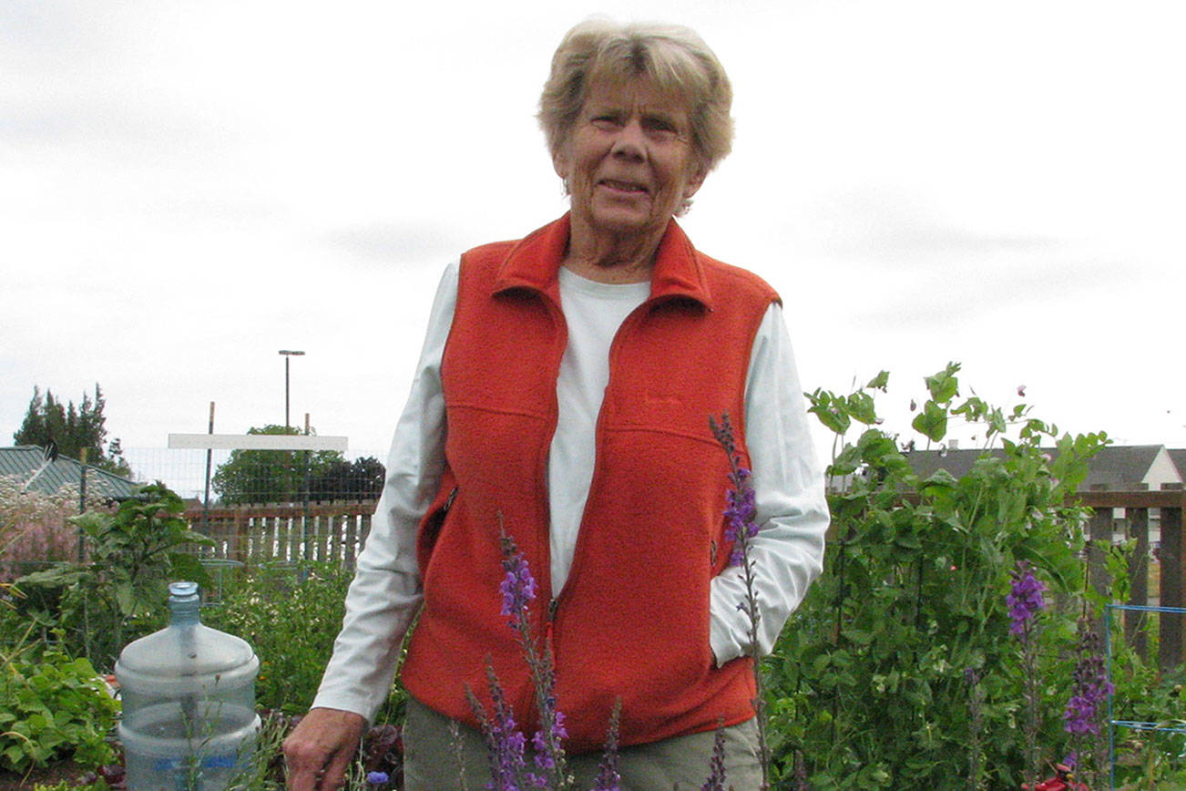 ‘Companion Planting’ lecture set for Thursday