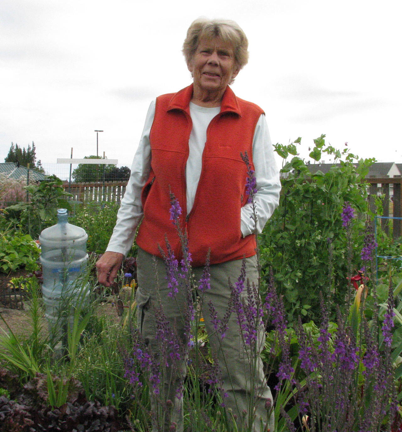“Companion Planting” will be presented by Pam Larsen at noon Thursday.