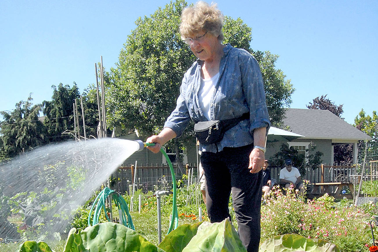 PHOTO: Take a walk in a garden this Saturday in Port Angeles