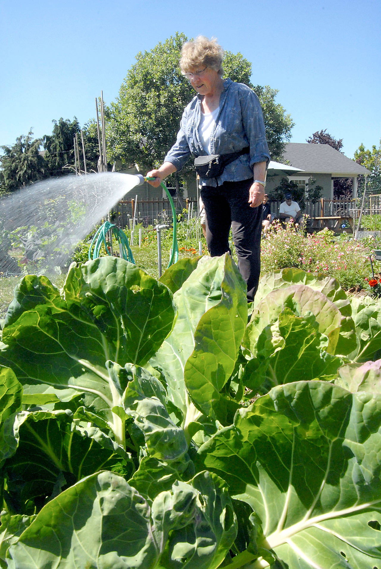 Keith Thorpe/Peninsula Daily News