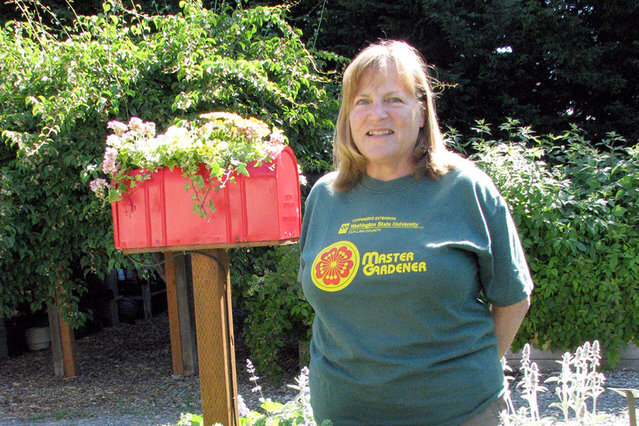 Green Thumb lecture to focus on Peninsula, succulents