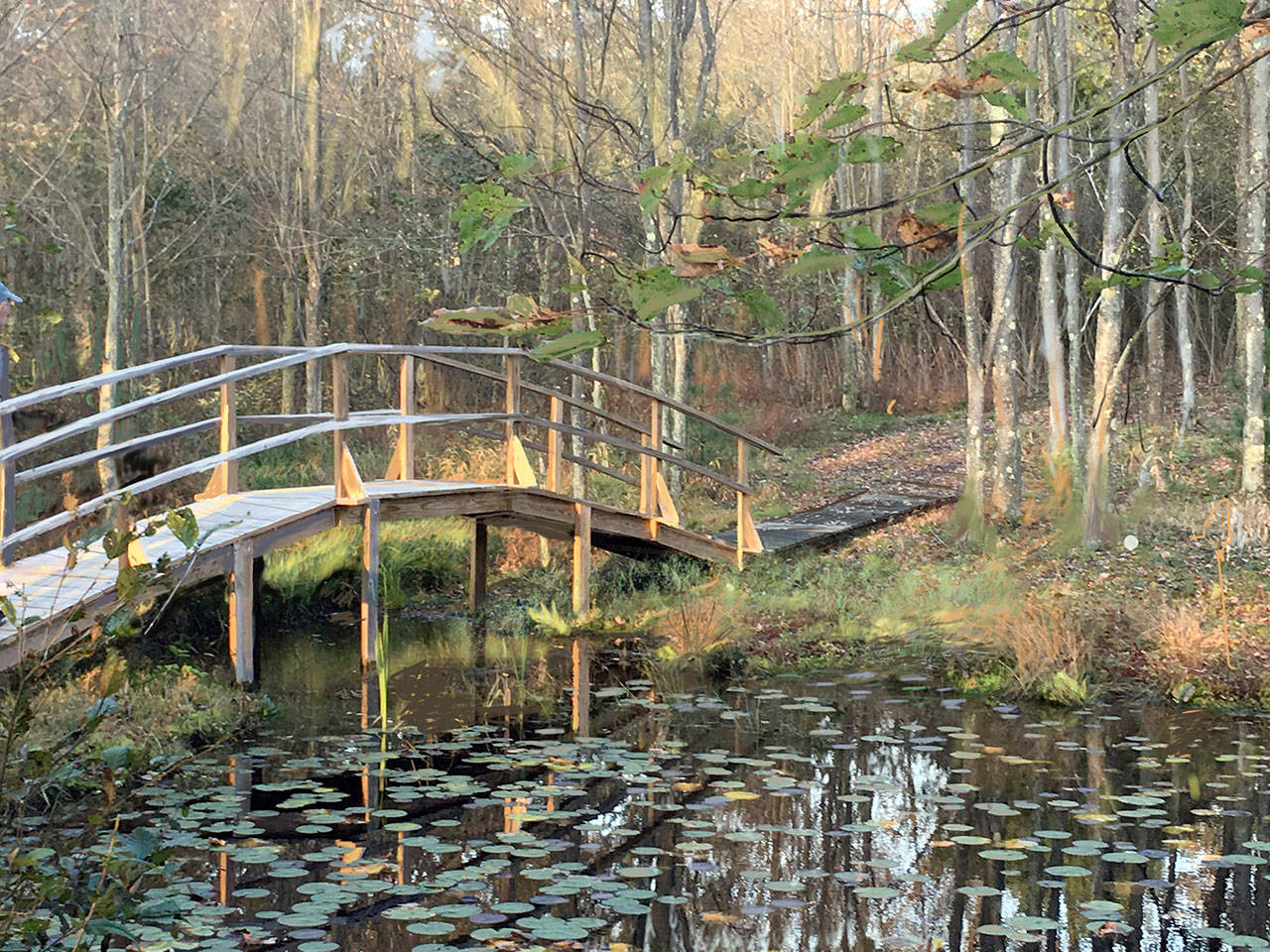 Sara Downs Bobanick’s “Bridge at the Farm” will be among the works exhibited.