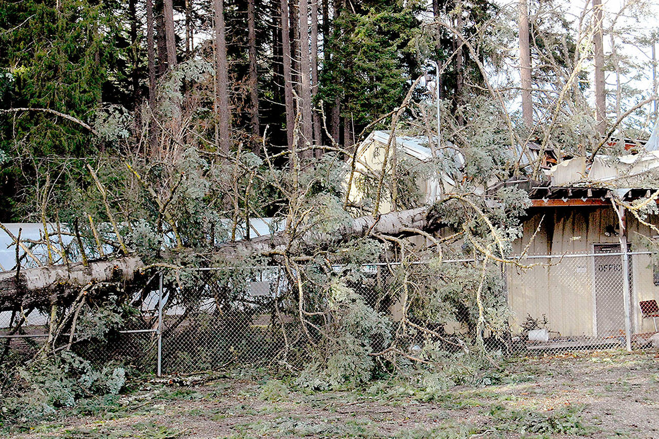 Maintenance shop destroyed in windstorm could be replaced