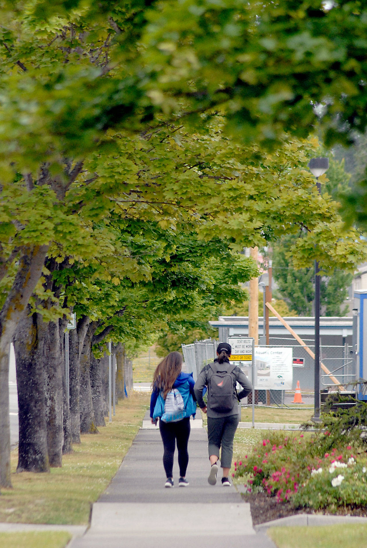 Pedestrians walk down a tree-lined section of East Fifth Street in front of Port Angeles City Hall. (Keith Thorpe/Peninsula Daily News)