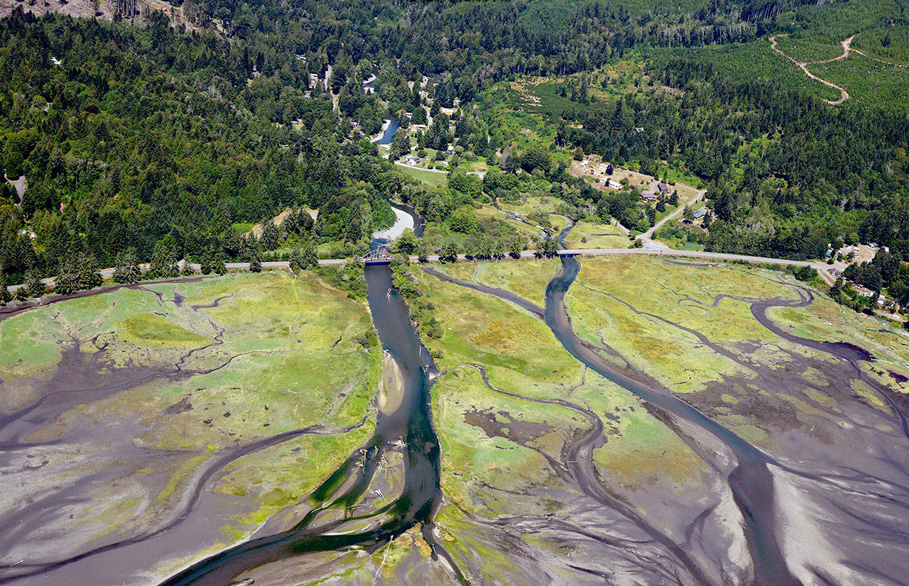 The state Department of Fish and Wildlife will host a public meeting at 9:30 a.m. Saturday at the Brinnon School to discuss and receive feedback on the proposed restoration of the Duckabush River estuary. (Department of Fish and Wildlife)