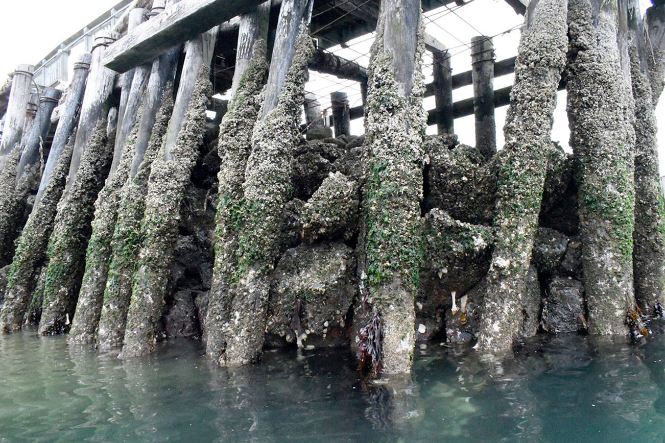 Point Hudson jetty project gets forward momentum