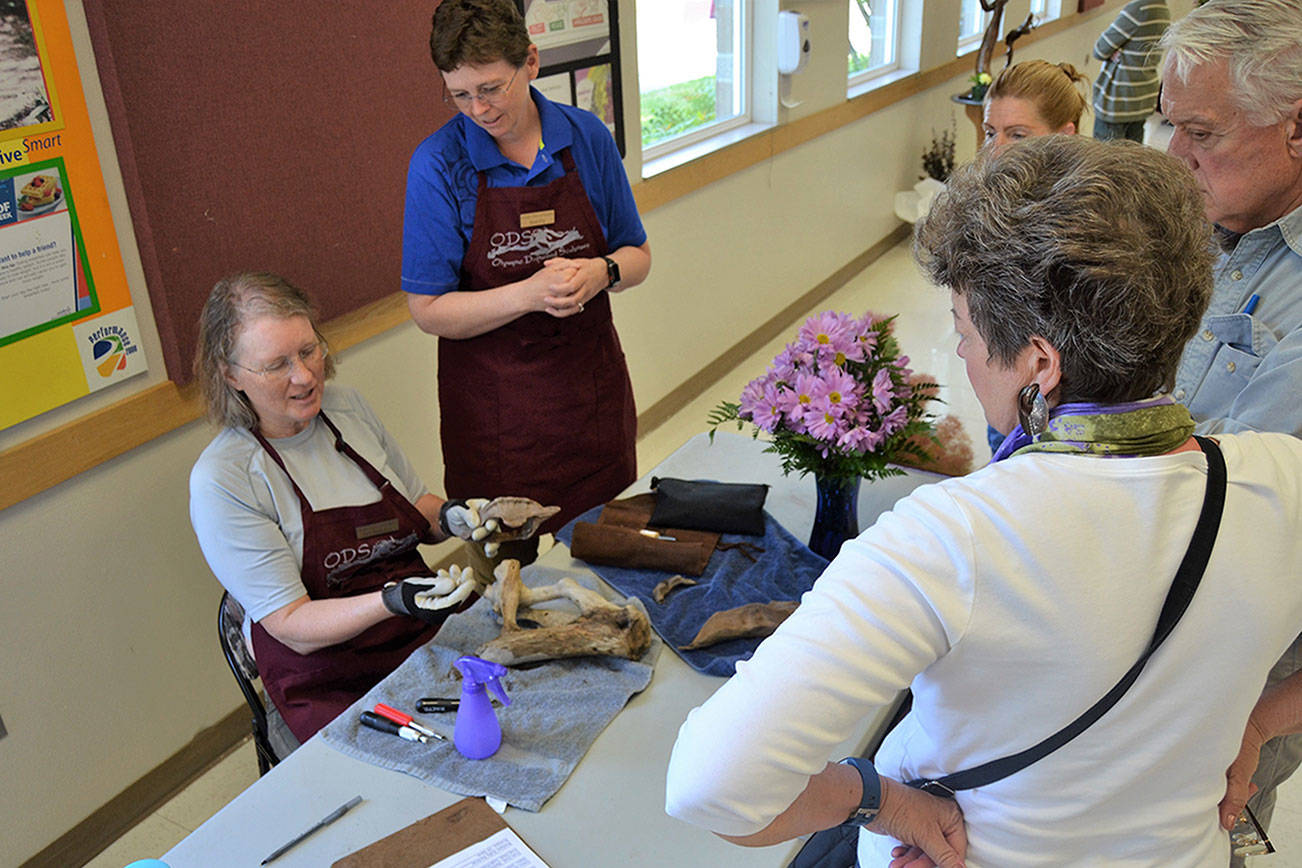 Driftwood Art show ready for Lavender Weekend