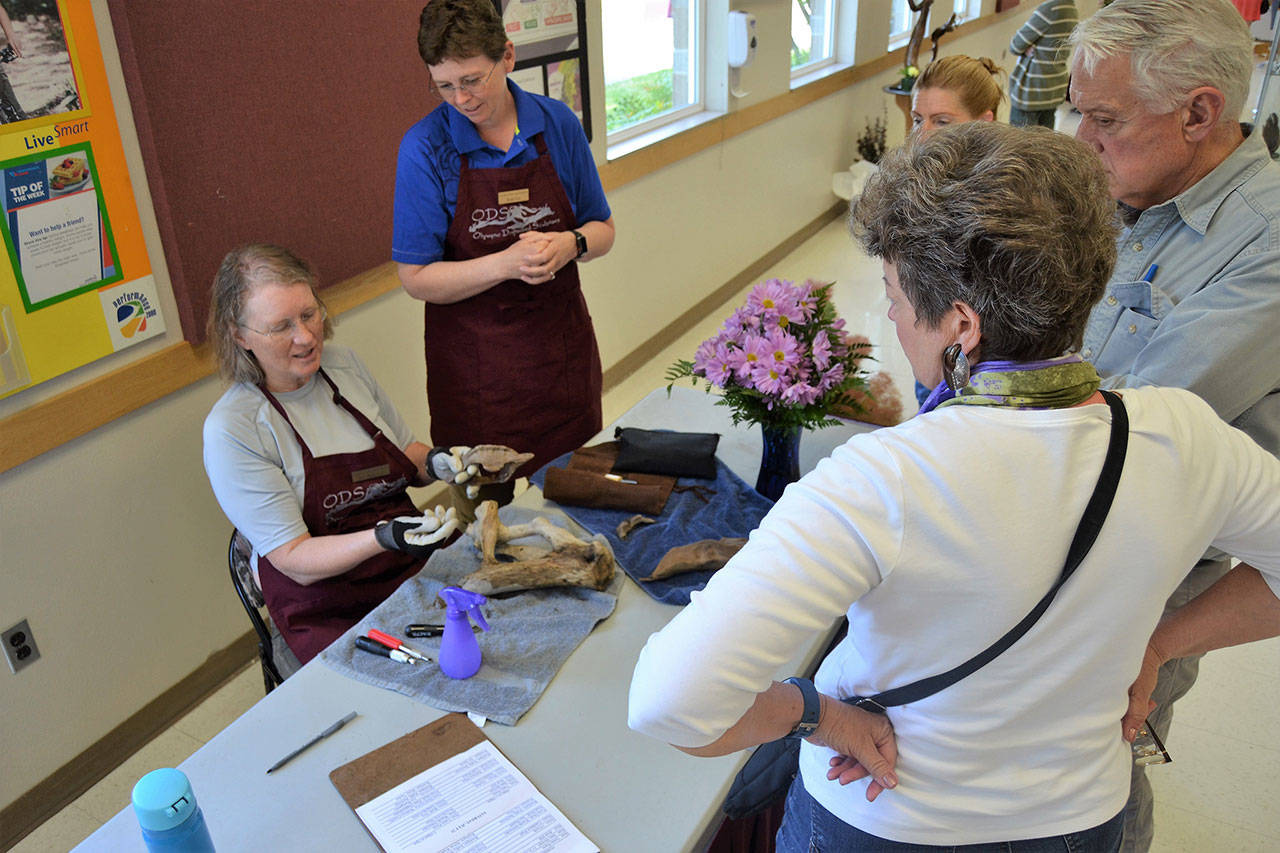 Driftwood Art show ready for Lavender Weekend