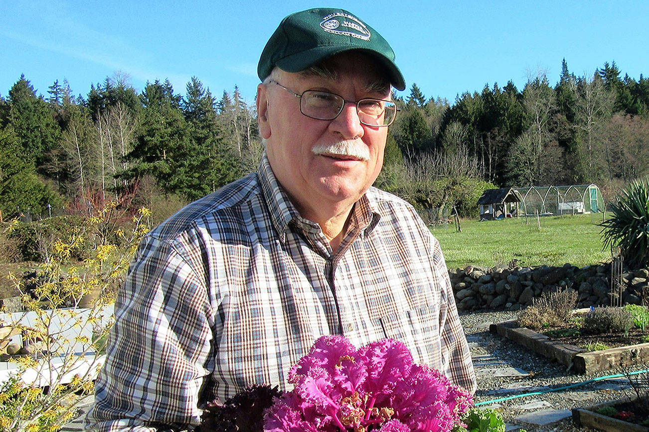Master Gardeners to offer fall/winter veggie info