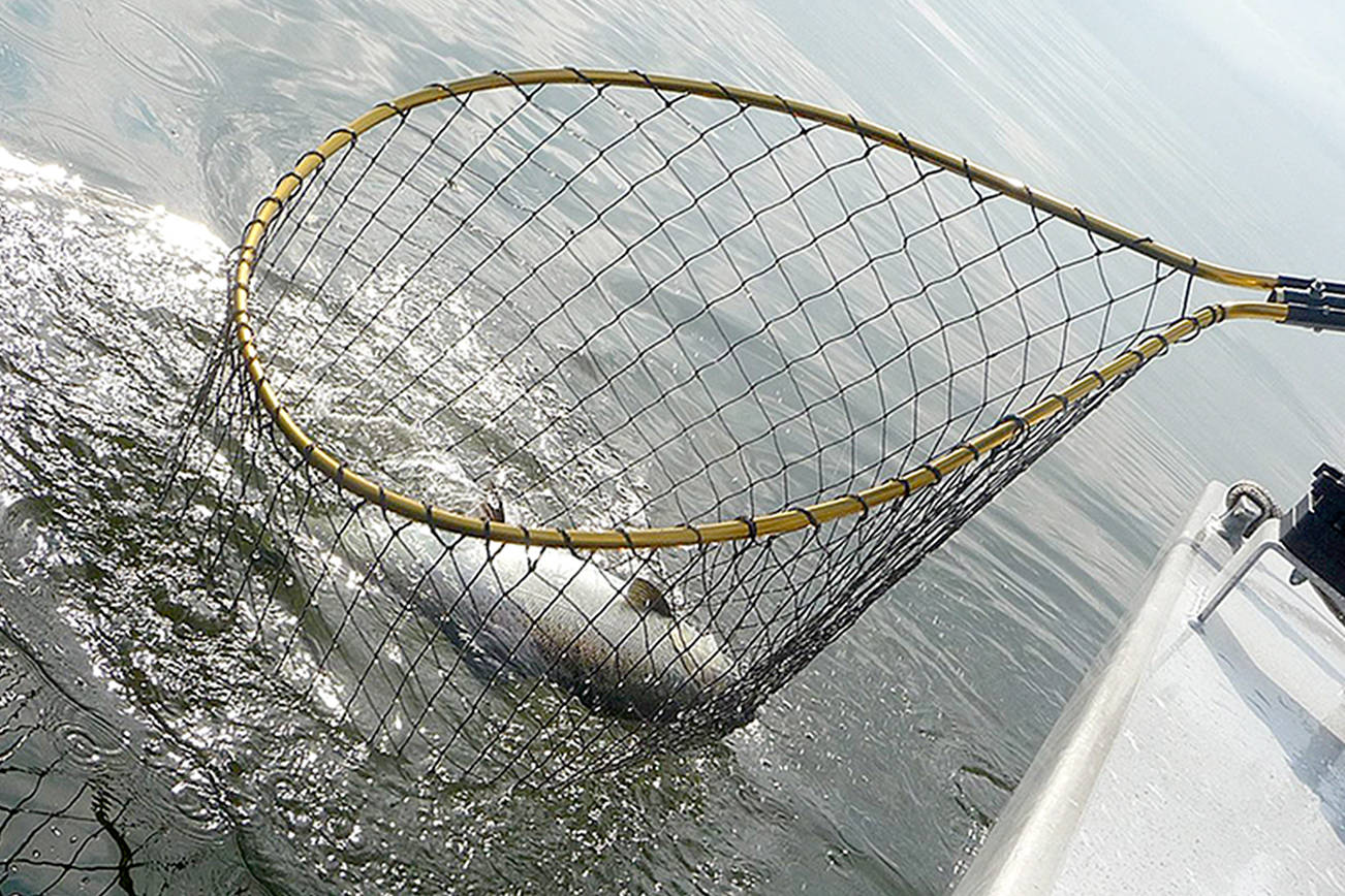 OUTDOORS: Area 9 anglers seek success at Midchannel Bank