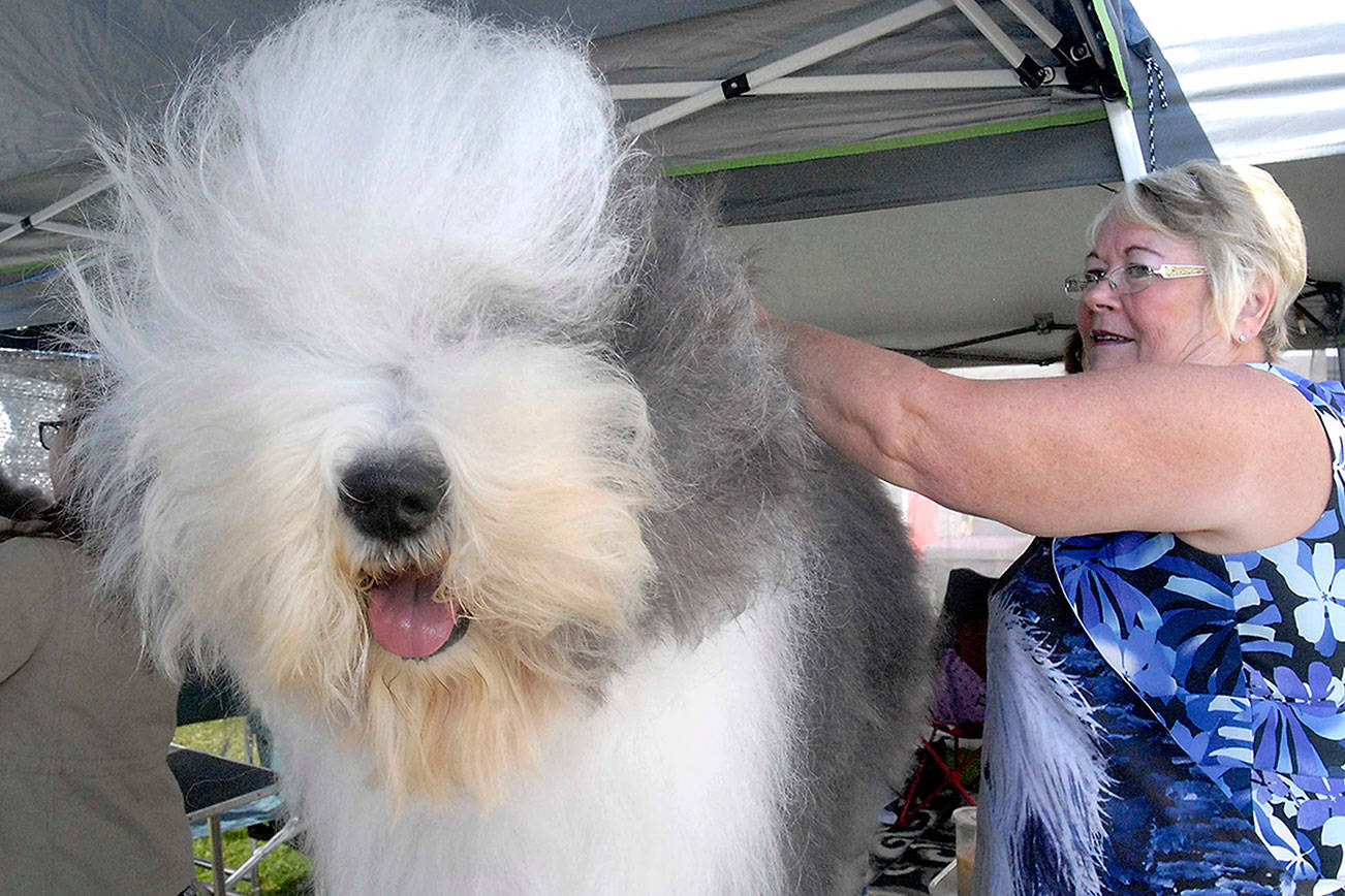 Dogs dance, do tricks compete this weekend