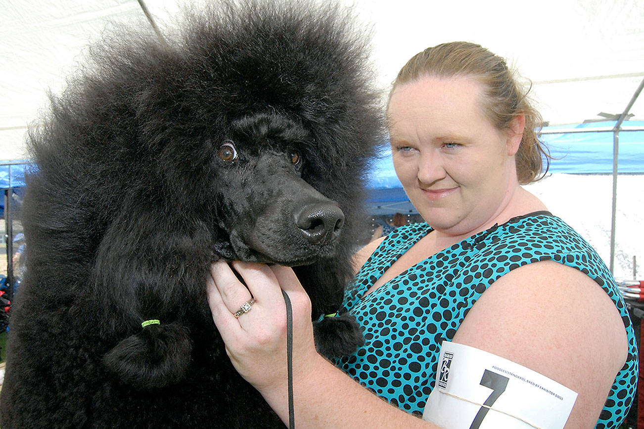 PHOTO GALLERY: 23rd annual Hurricane Ridge Kennel Club dog show