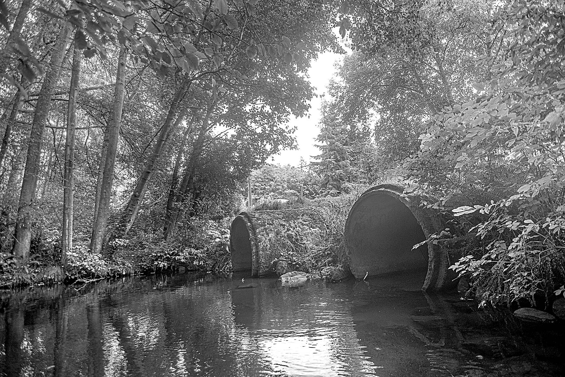 Clallam County files appeal of state decision concerning Phase II stormwater permit