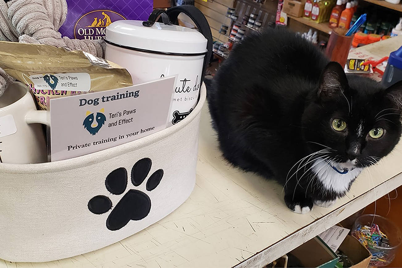 One of the gift baskets available as a door prize at the Barks & Brews fundraiser Saturday is from Teri’s Paws and Effect dog training of Sequim.