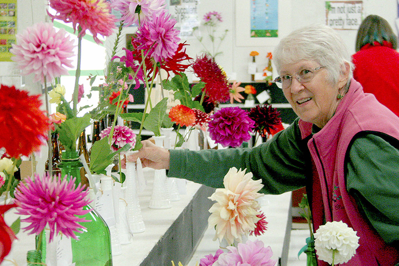 Lawnmower derby, mud drags among Jefferson County Fair’s weekend events