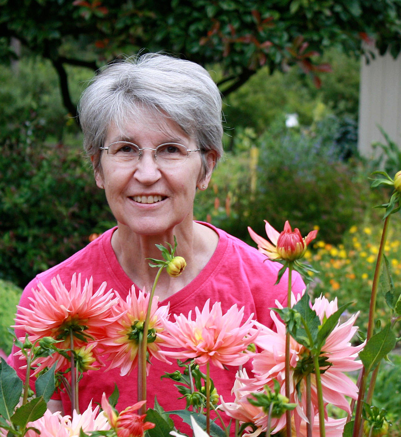 Master Gardener Jan Danford will speak about dahlias Saturday at Sequim’s Woodcock Demonstration Garden. (WSU Clallam County Extension Master Gardeners)