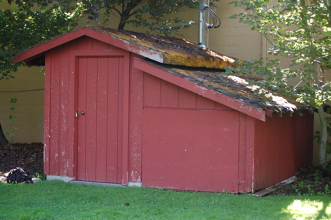 The Pioneer Memorial Park storage shed before Ian Thill and his crew of friends started removing the roof as part of his Eagle Scout project. The shed has changed little in the more than 30 years since it was built to serve as the park’s pumphouse. (Conor Dowley/Olympic Peninsula News Group)