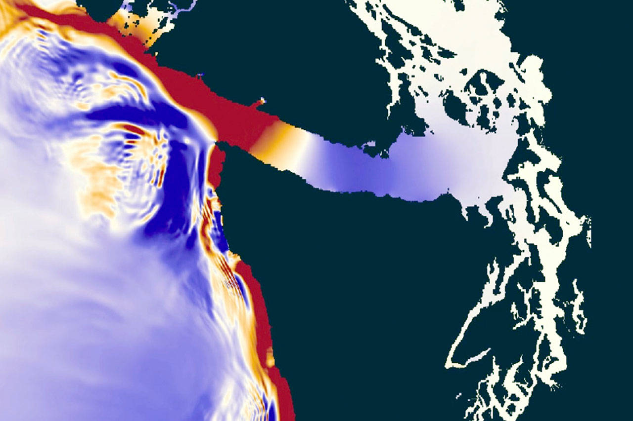 A simulation by the state Department of Natural Resources shows how a tsunami triggered by a magnitude 9.0 earthquake in the Cascadia Subduction Zone would affect Washington’s coast. The deep orange to red is a wave peak of 10 feet or higher while the purple indicates troughs of 10 feet or lower. (Department of Natural Resources)