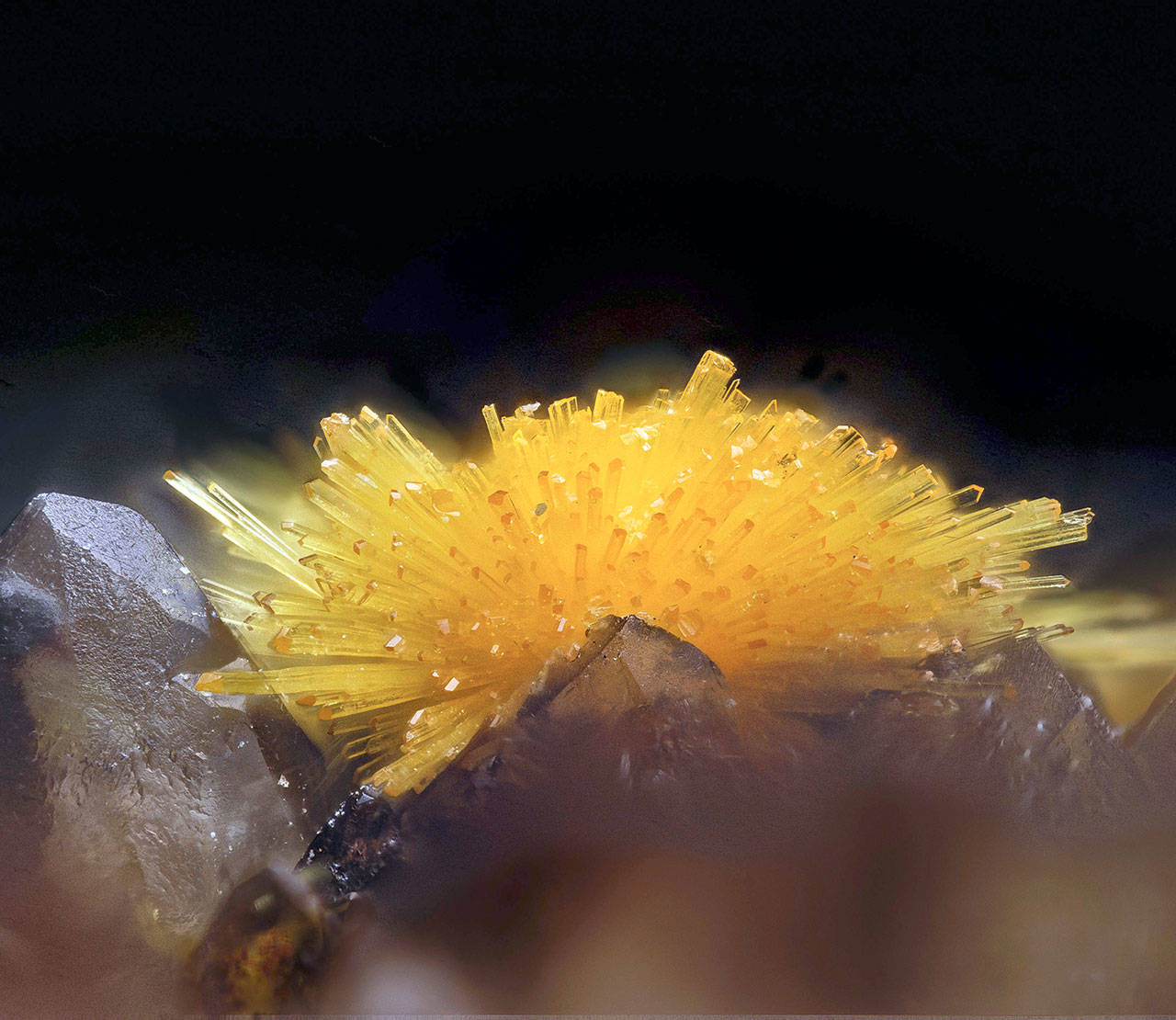 Boltwoodite from Goanikontes Claim, in Goanikontes in the Swakopmund District of the Erongo Region in Namibia. (Bruce Kelley)