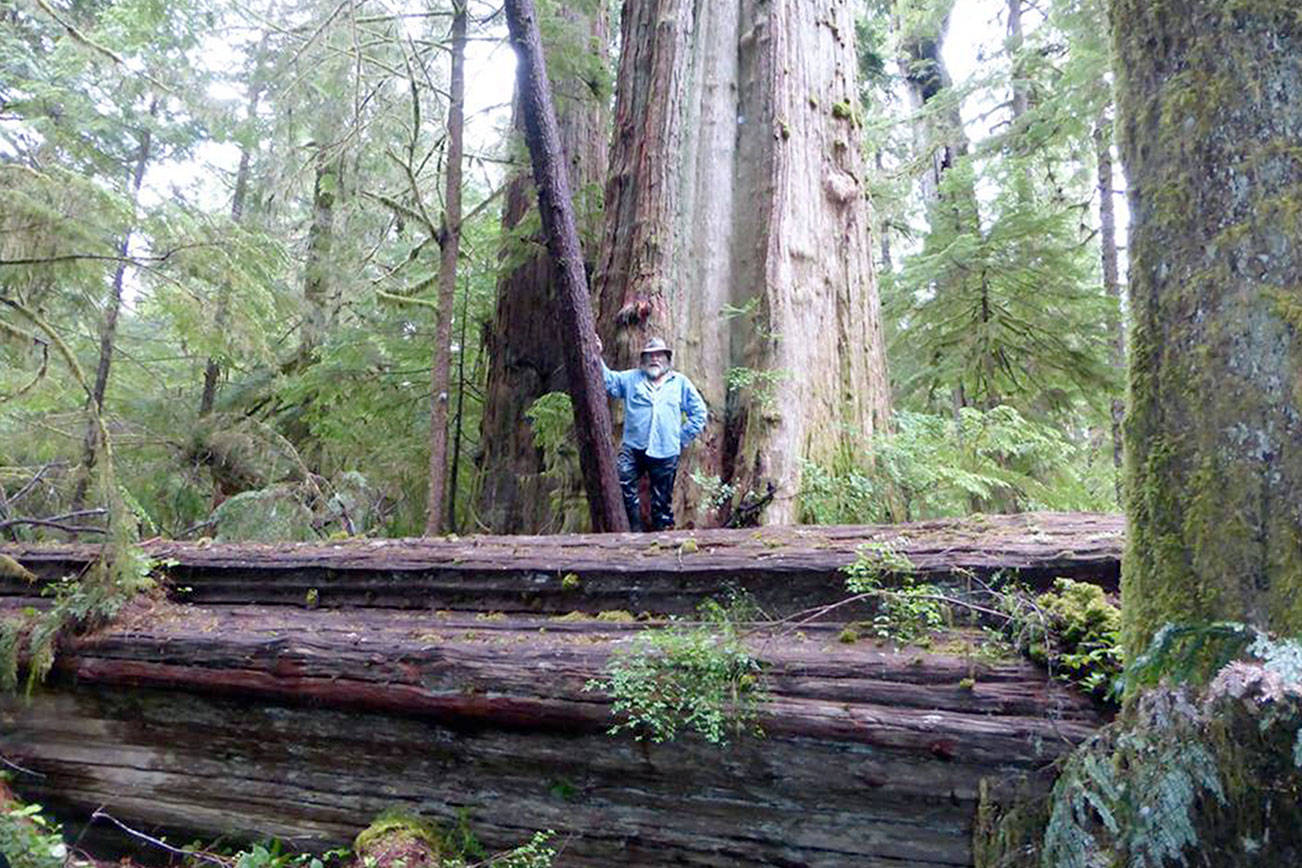 PAT NEAL: Wooden boat worries