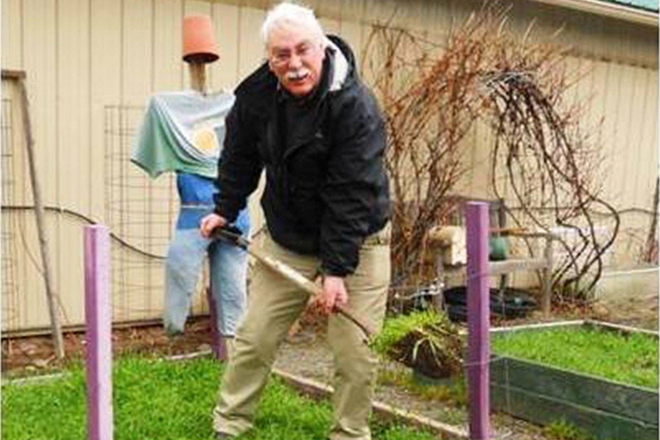 Cover crops topic of Green Thumbs presentation