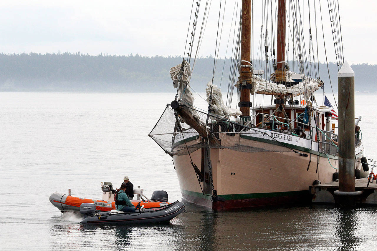 Volunteers with the Wooden Boat Festival help the Merrie Ellen, a schooner usually moored in the Pleasant Harbor Marina, dock near the Northwest Maritime Center in Port Townsend on Wednesday afternoon. (Zach Jablonski/Peninsula Daily News)