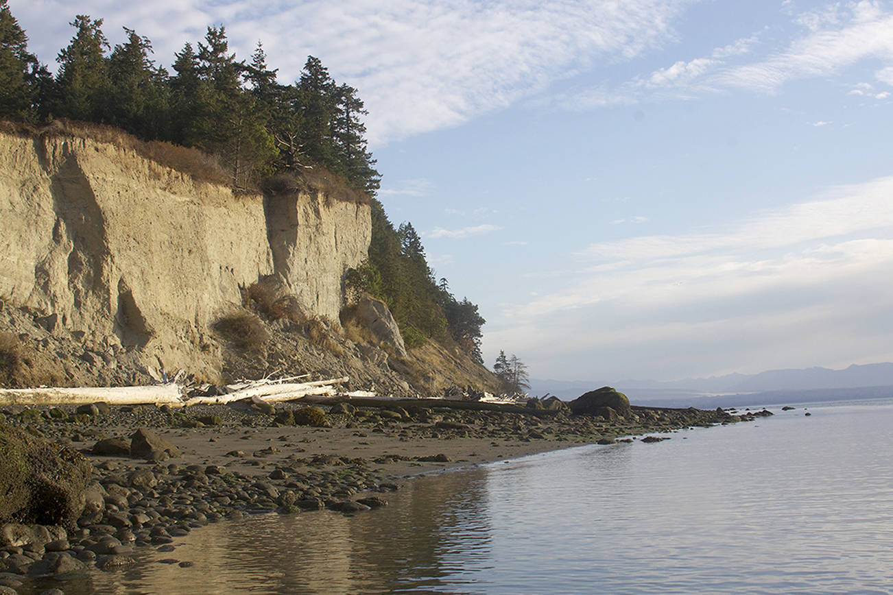 Years of land trust efforts come together in Camano Island’s newest park