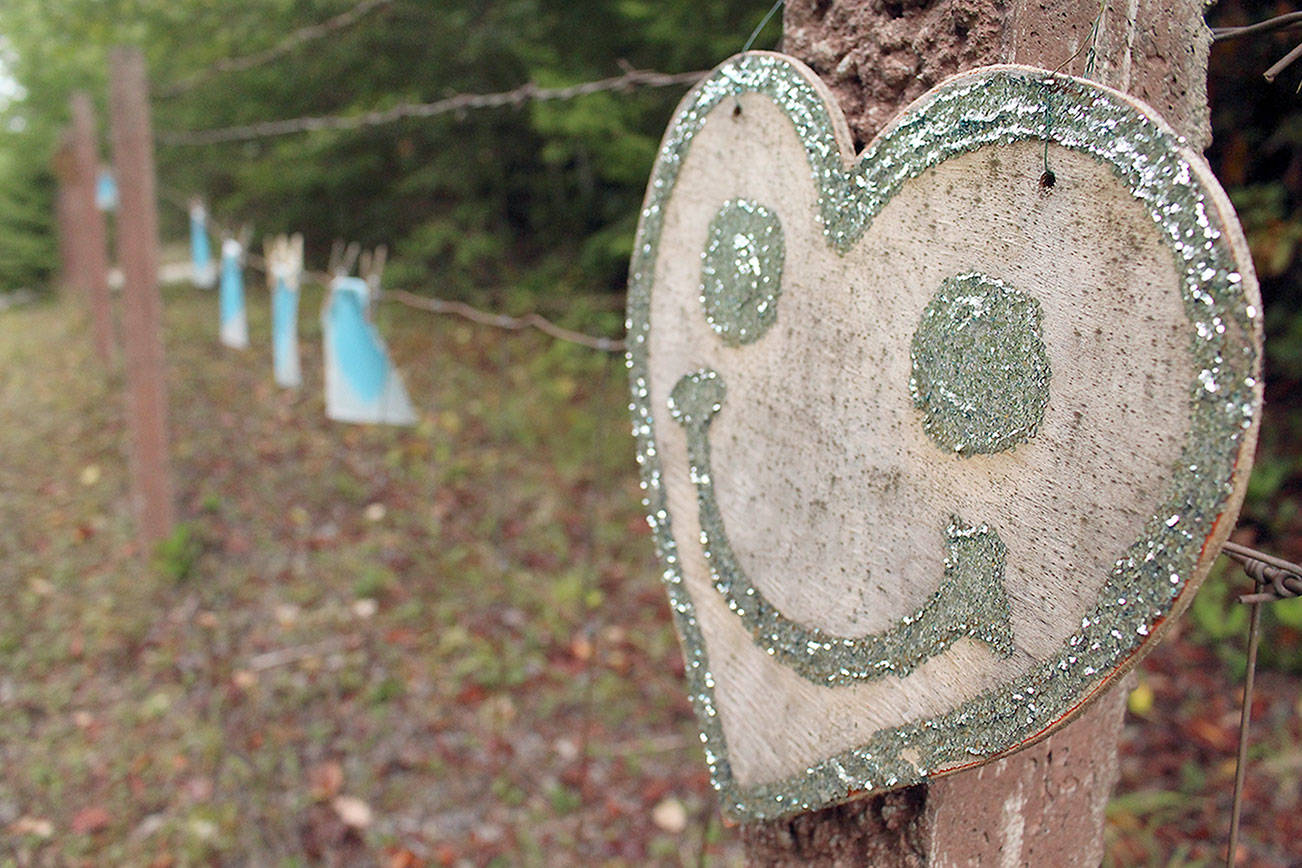 Blue hearts go out to Port Townsend musician