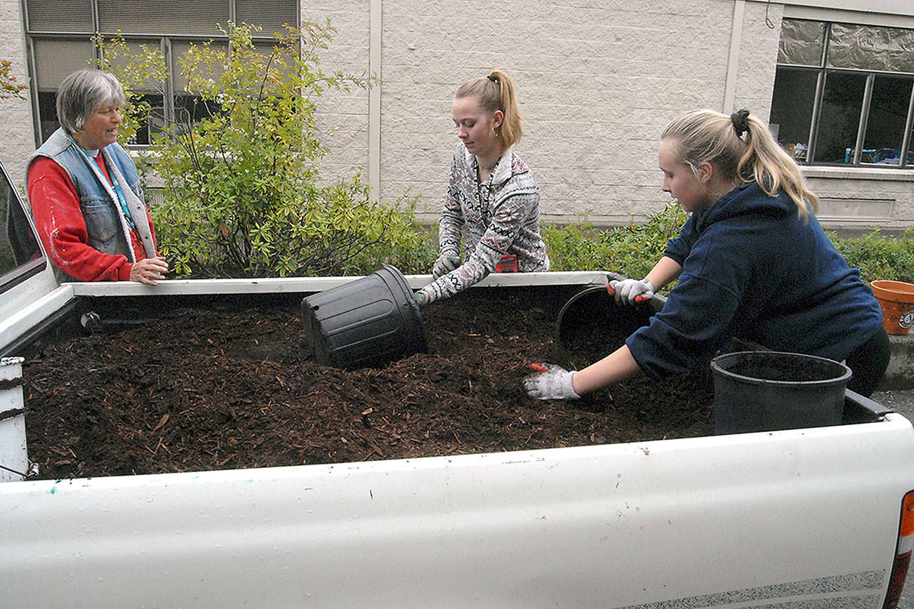 Volunteers groom Port Angeles High School campus