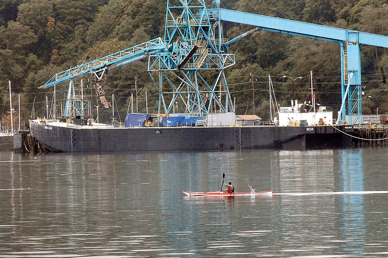 PHOTO: Paddling by in Port Angeles Harbor
