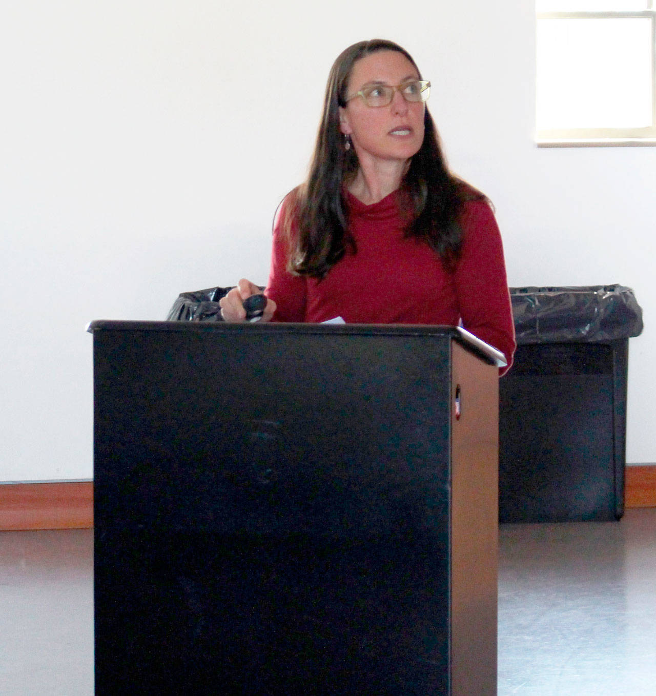 Siri Kushner, epidemiologist with Kitsap Public Health, presents the Community Health Assessment for Jefferson County to Jefferson Public Health and Jefferson Healthcare officials. (Zach Jablonski/Peninsula Daily News)