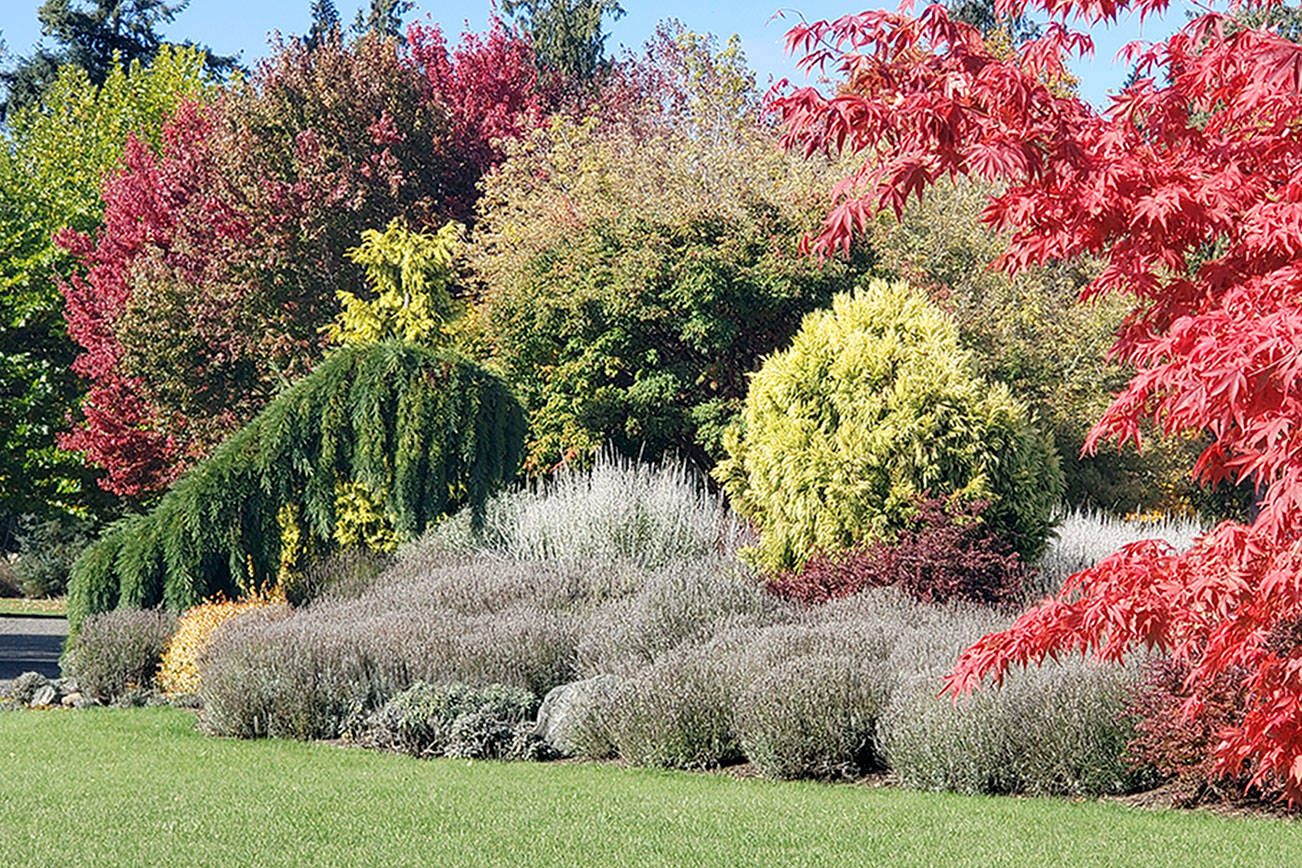 A GROWING CONCERN: Plant now for years of enjoyment