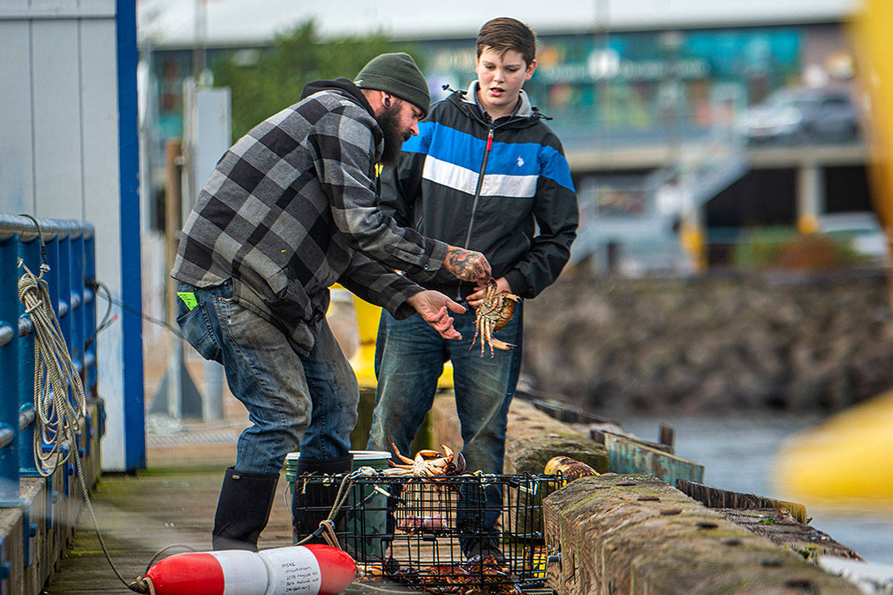 Bringing in crab at Port Angeles City Pier