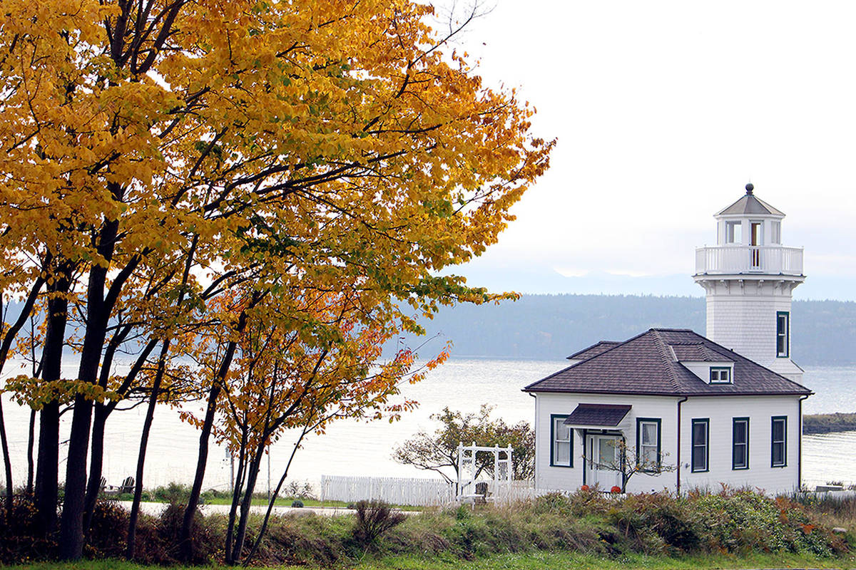 Shining a light on autumn