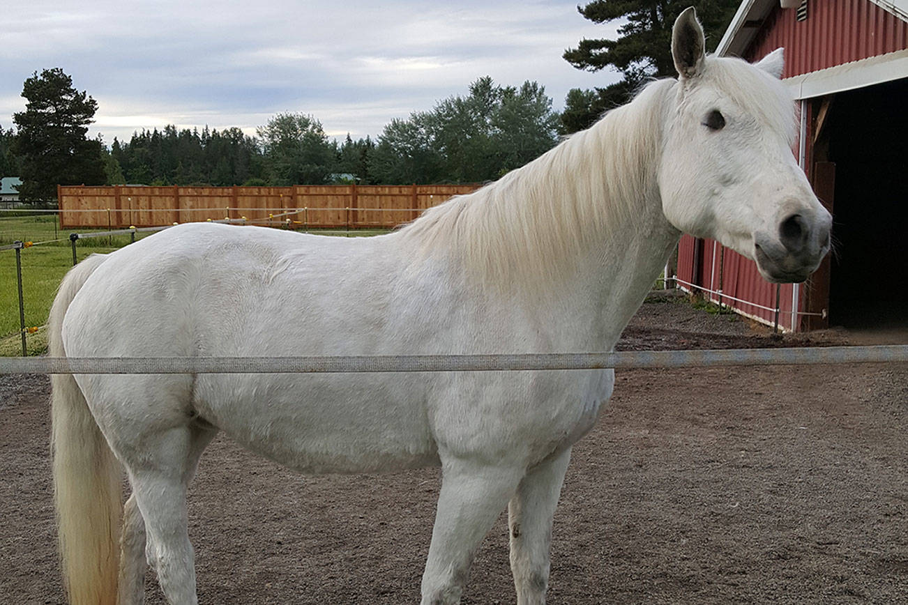 HORSEPLAY: Clallam Conservation District is here to help