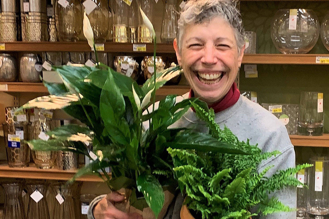 House plants can beat winter blues, gardener says