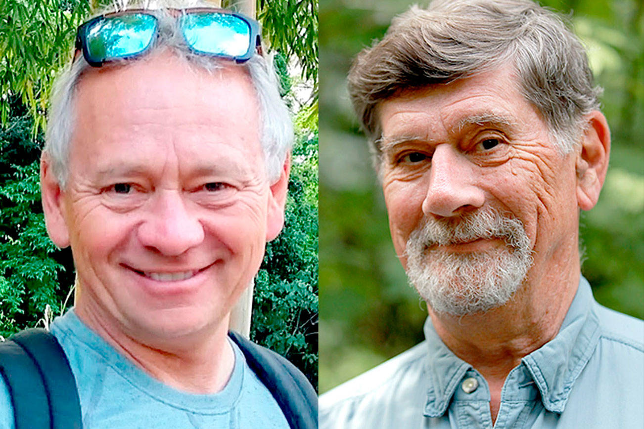 Ross leading in Port Townsend School Board election