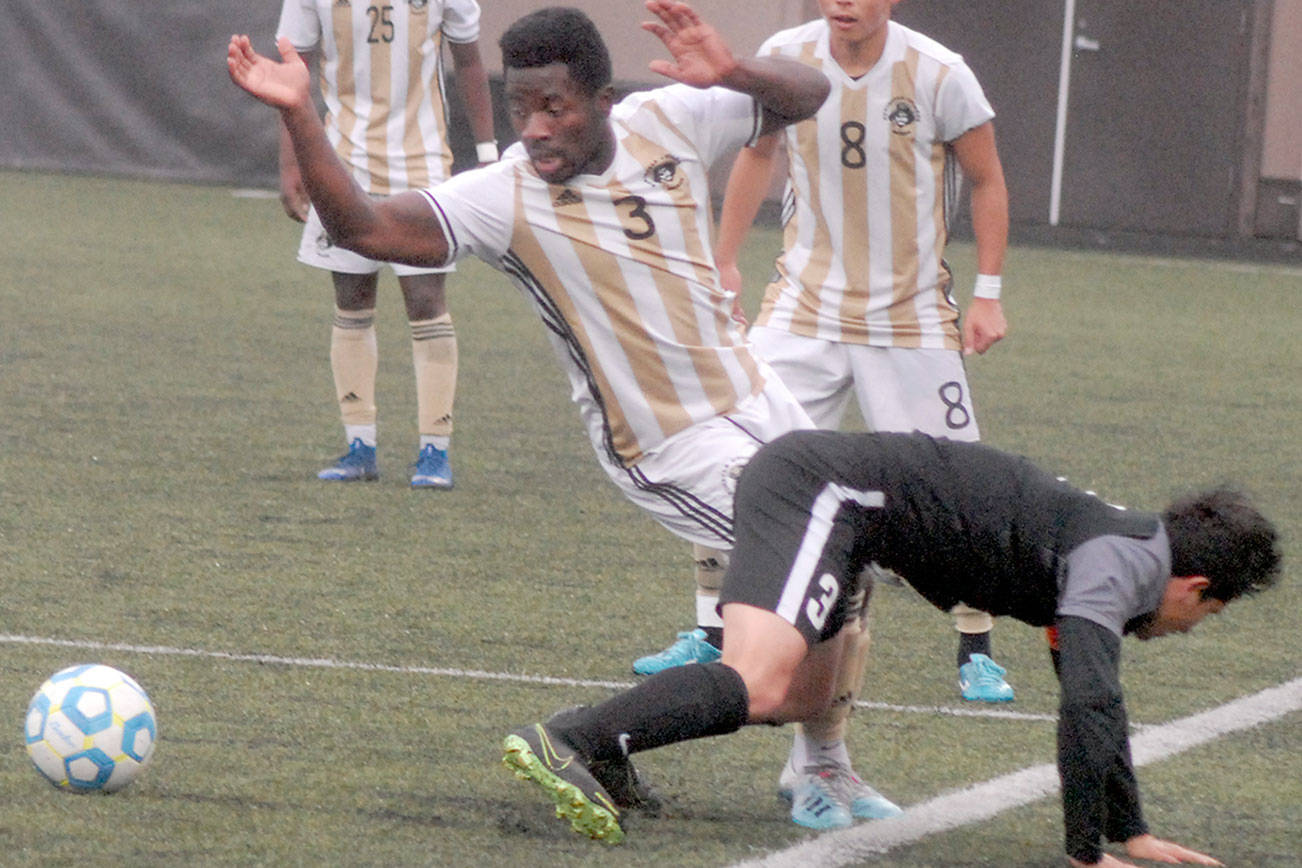 COLLEGE SOCCER: Heartbreak healed for Peninsula men; now on to NWAC Final Four