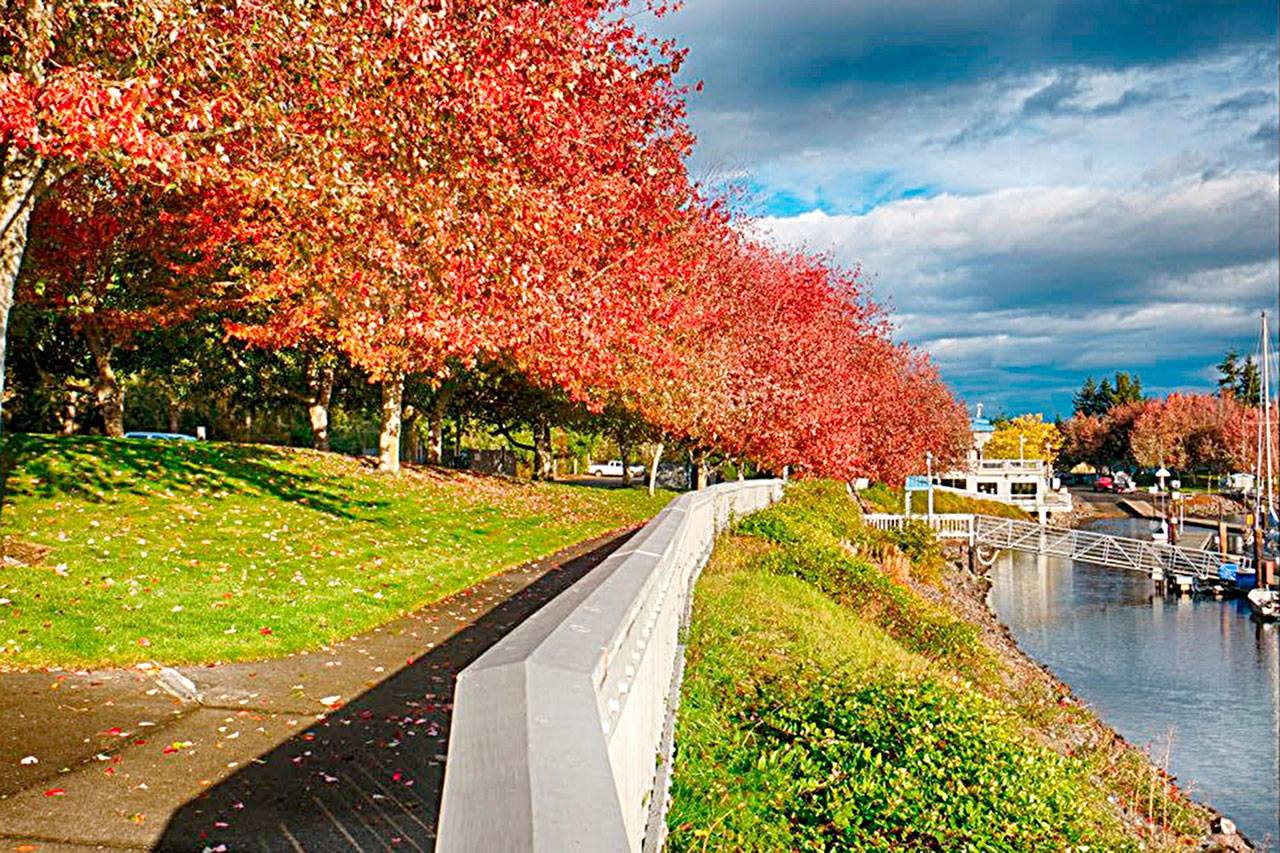 Leaders with the Sequim City Council members have agreed to send a proposal to the Port of Port Angeles to transfer ownership of the John Wayne Marina, seen here in mid-October, to the city. (Bob Lampert)