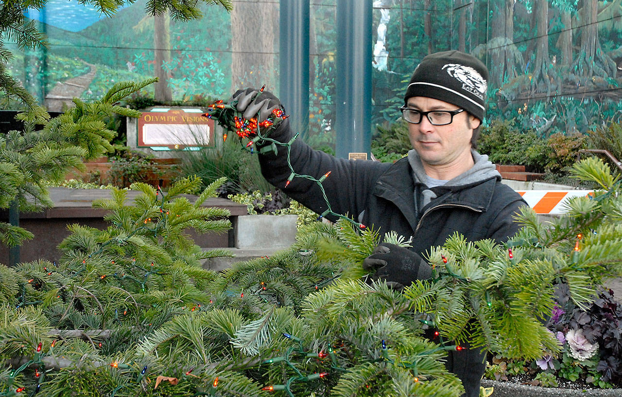 Port Angeles Parks and Recreation Department employee Eli Hammel strings some of almost 19,000 lights that will adorn the downtown Port Angeles Christmas tree earlier this week at the plaza in front of the Conrad Dyar Memorial Fountain. The tree will be formally lit for the holidays Saturday evening. (Keith Thorpe/Peninsula Daily News)