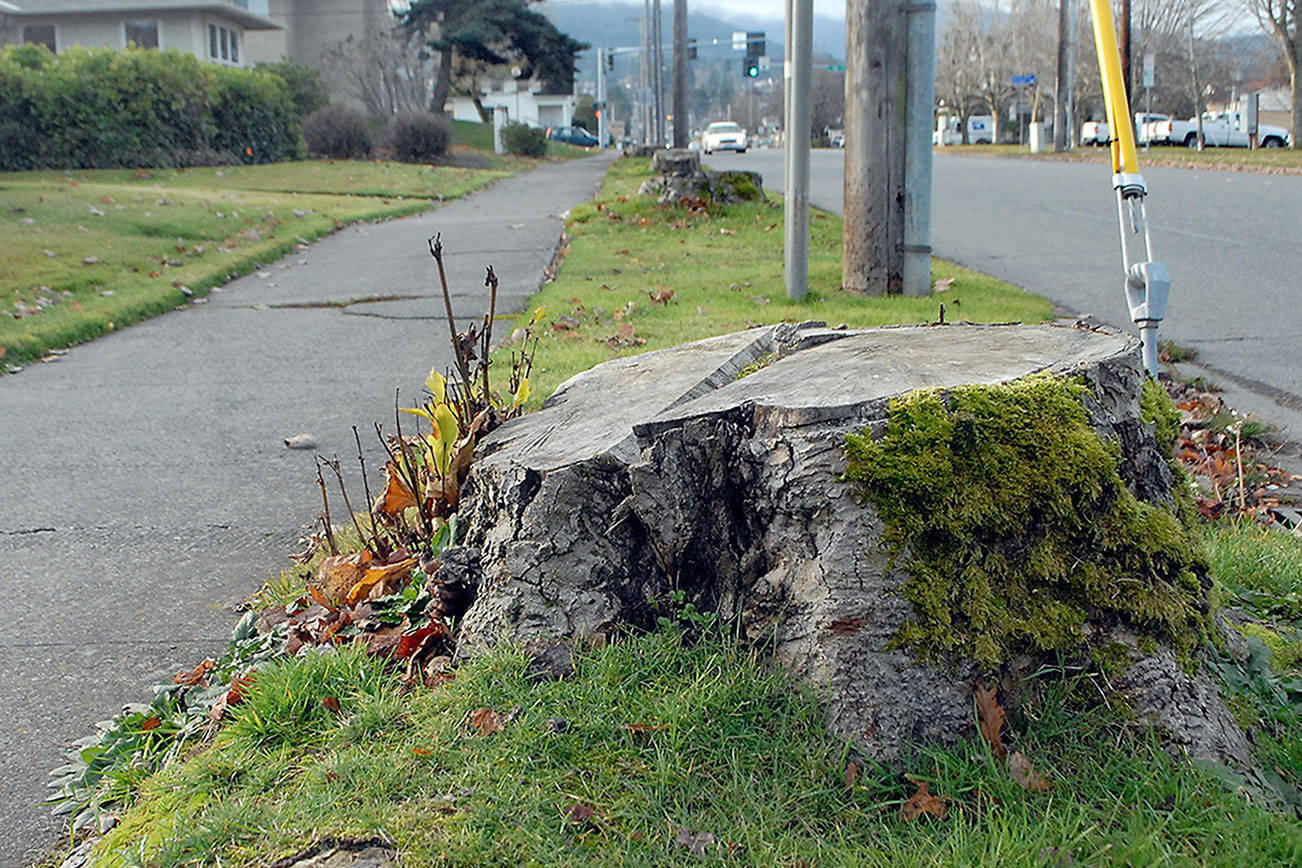 Peabody Street, Civic Field upgrades in the works
