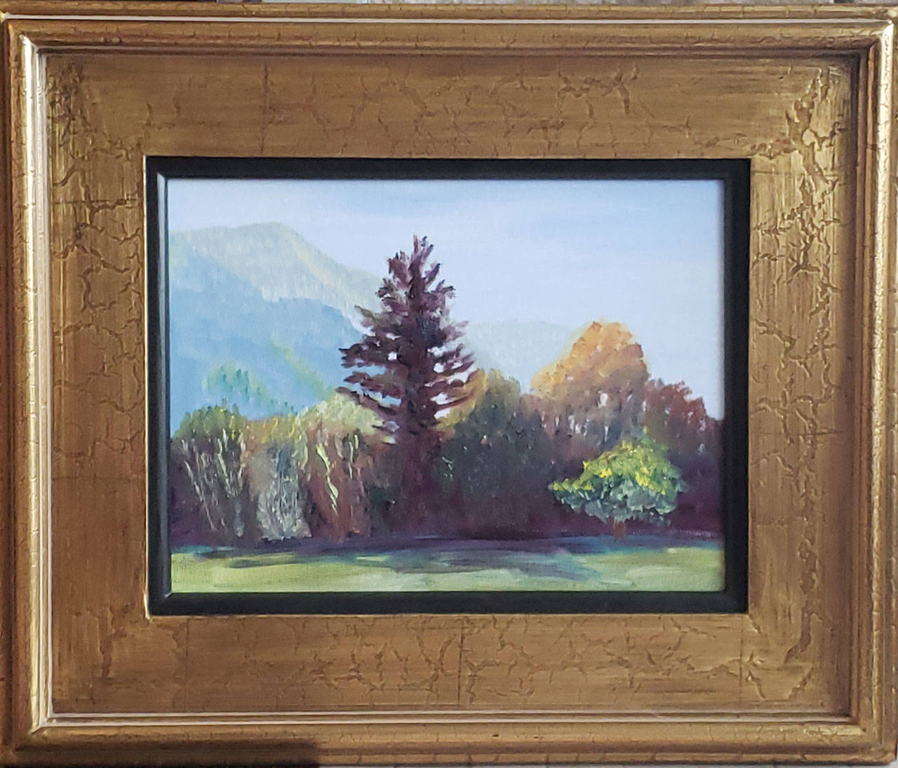 Carmen Czachor’s work will be exhibited at Studio Bob.